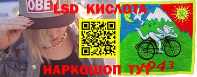 шишки Рыбинск