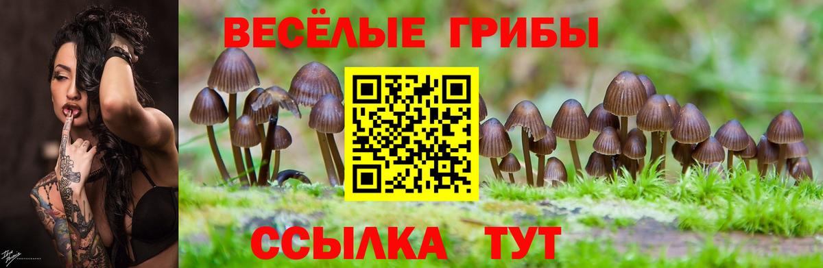 Галлюциногенные грибы GOLDEN TEACHER  Вход с VPN  Тавда  Галлюциногенные грибы ЛСД 